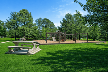 The village at wesley chapel playground